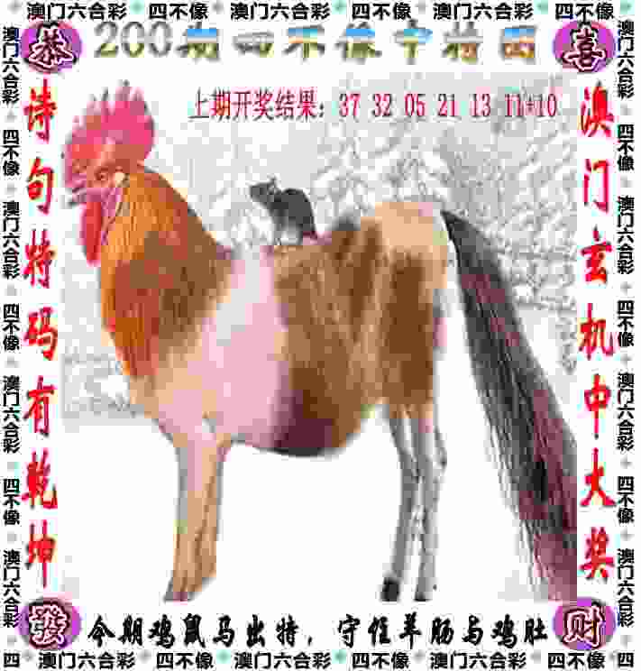 没有裁判胜负选手自己认定 业余网球赛在合肥诚信收拍